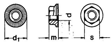 DIN 193 Flange Nuts Specifications