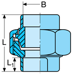 Unions, socket weld